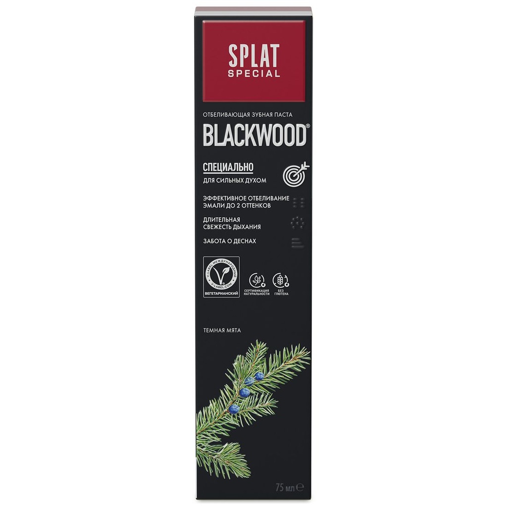 SPLAT Special Blackwood Charcoal Toothpaste, fluoride-free, 75 ml 2