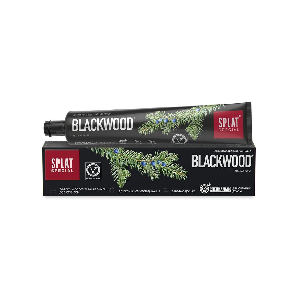 SPLAT Special Blackwood Charcoal Toothpaste, fluoride-free, 75 ml